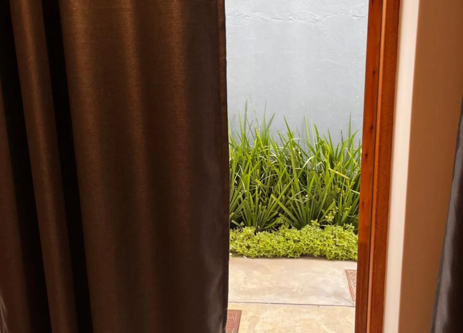 Daire Aloe Studio Cape Town